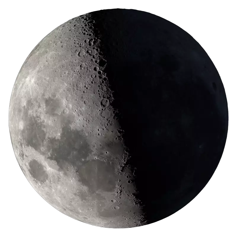 Первая четверть